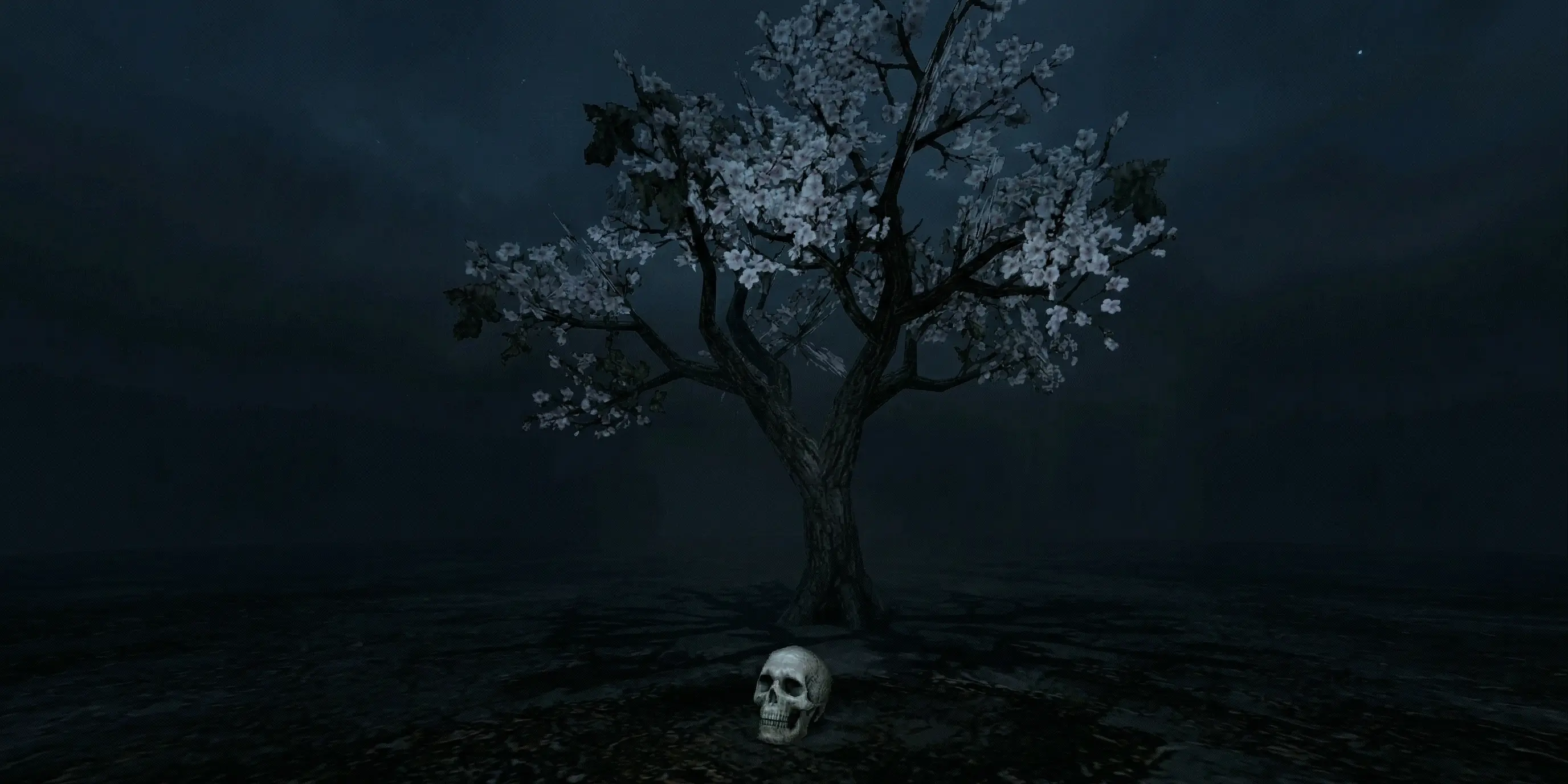Footer Background