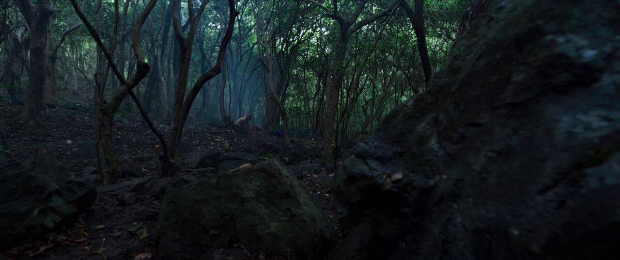 Background for The Wailing