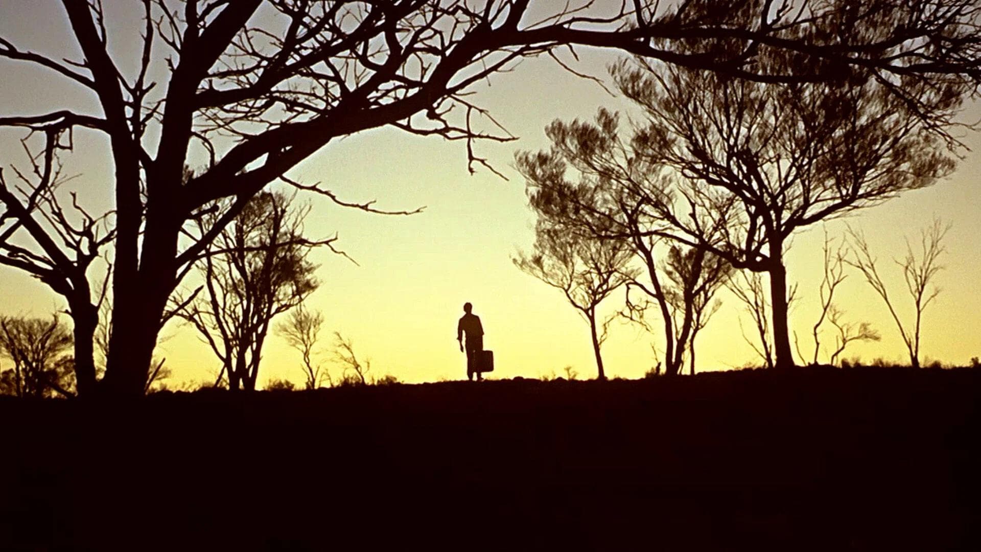 Background for Wake in Fright